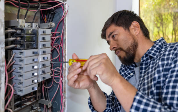 Best Electric Panel Repair  in Lawai, HI